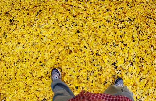 Self Portrait with Leaves, Northern New Mexico