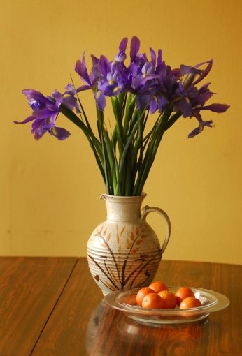 Irises and Tangerines