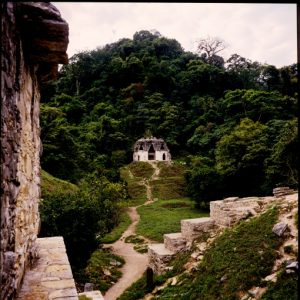 (Temple of the Foliated Cross, Palenque, Mexico.  June 1987)